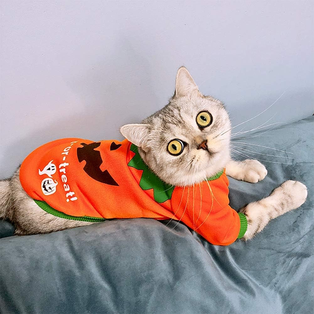 Dog Costume