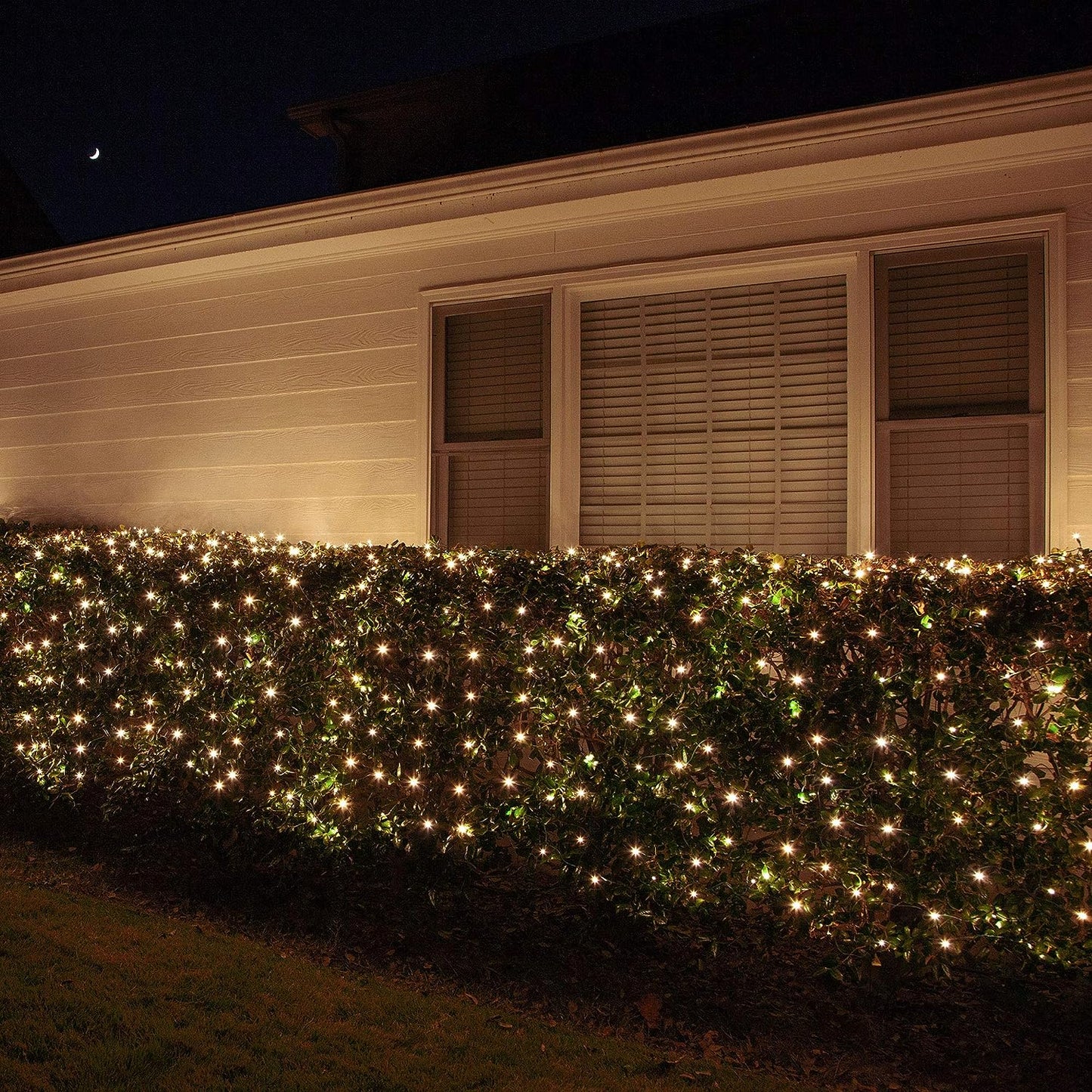 Clear Net Lights on Green Wire (4’X 6’ Net, 150 Lights, Clear)