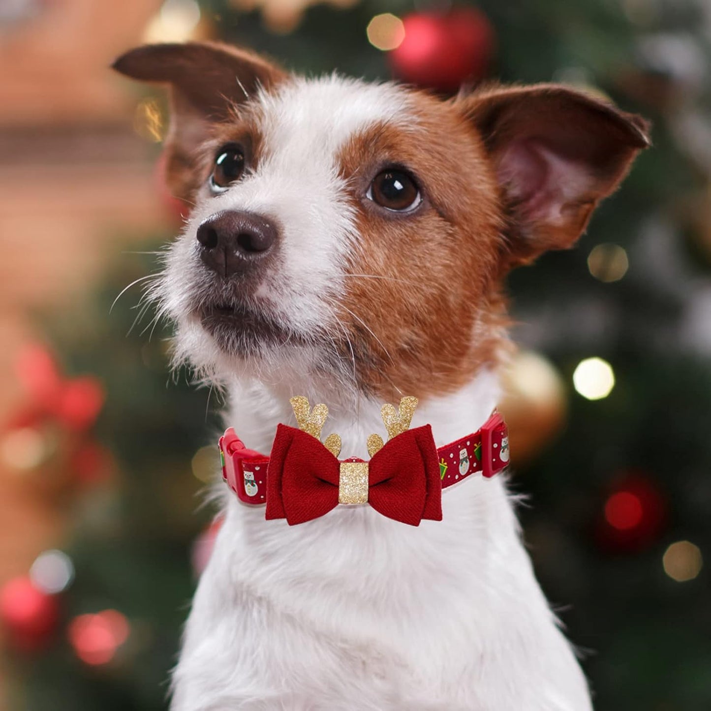 Adjustable Christmas Dog Collar